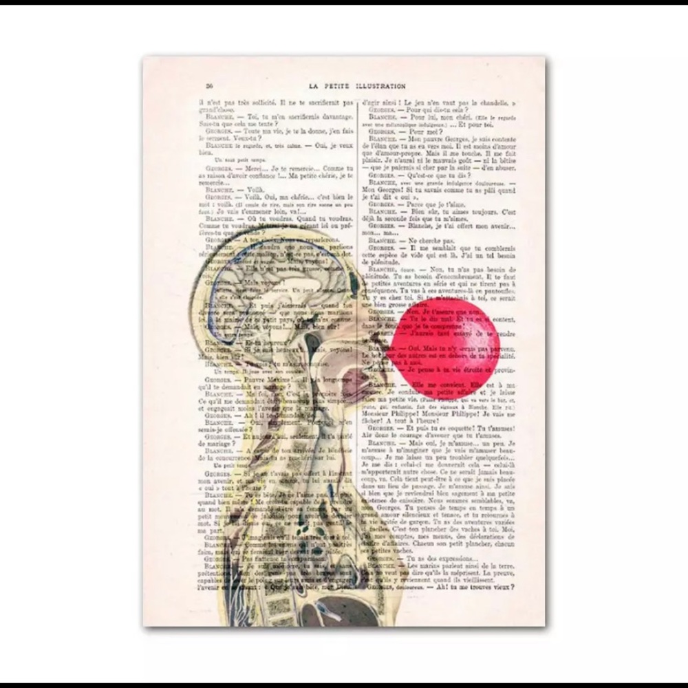 Bubble Gum Skeleton Dictionary 8 x 12 Canvas Print